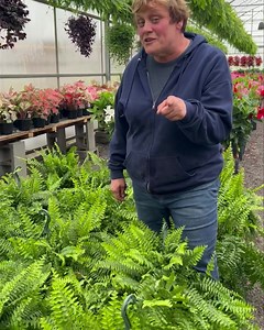 3.4K views · 55 reactions | Transform your outdoor oasis with our...