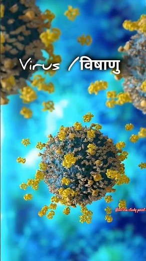 microorganisms types #microorganismos #virus #bacteria #sooksmjiv