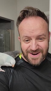 1.2K views · 86 reactions | Meet Opal [the blue Quaker] and Gracie [the grey Quaker]! They are just 2.5 years old and bonded. They are both females. They will need to stay together! Message me to set an appointment to meet them and see if they choose you! | Paradise Parrot Rescue | Facebook