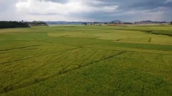 21K views · 1.1K reactions | Deeggarsarraa bahuun nidanda'ama! | Oromia President Office | Facebook