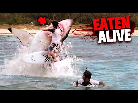 Eaten Alive By Sharks MARATHON!