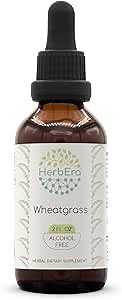 Wheatgrass B60 Alcohol-Free Herbal Extract Tincture, Concentrated Liquid Drops Natural Wheatgrass (Triticum aestivum) Dried Leaf (2 fl oz)