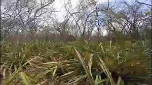 March Madness... #searchwithus #surfnicaragua #staystoked #makefunhappen #gopro #dummymount #anotherdayinthelife | Popoyo Surf Lodge