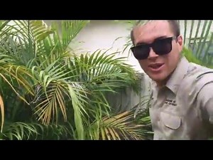 Angry Python Bites Snake Catcher in Head