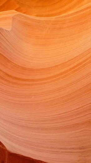 Saturday plans = made ✨ We’ll be at the Washington Farmers Market this SATURDAY from 10am–2pm with all the Muscle Butters, magnesium soaks, and Boob Cubes your weekend needs. And we have a new product!!! MAGNESIUM BUTTER!! Come stroll, snack, shop local, and stop by our booth to smell, sample, and stock up – we can’t wait to see your smiling faces! 💛 #FromScratchLLC #washingtonfarmersmarket #ShopLocalUtah #SouthernUtah #FarmersMarketVibes #HandmadeWellness #NaturalPainRelief #SupportLocal | Fro