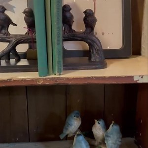 Bird Bookends $39.99/set Four Bird Branch $32.99 Two Bird Branch $22.99 7x9 Bird Picture $22.99 Simple Nest Pick $11.99 | The Old Candle Barn Inc