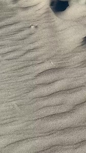 Ocean Vibe — Moclips, Washington 2025 : Nadine Pavlov : Free Download, Borrow, and Streaming : Internet Archive