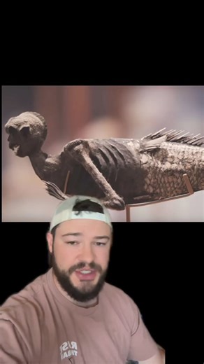 Always Be Careful Of The Dreaded Feejee Mermaid 😰 | IdkSterling