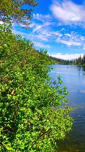 2.8K views · 172 reactions | Mammoth Lakes, California,  By: travel.lovers.channel..#travel #familytravel #travelphotography #waterfalls #ocean #hiking #naturelover #adventurevibes #tripadvisor #traveltheworld #naturephotography #familytrip #vacation #adventuretravel #familytime #forest #islandlife #islandvibes #beachlife #beach #island #sunshine #nature #mountains #hawaiilife #maui #hawaii | Travel Lovers Channel | Facebook