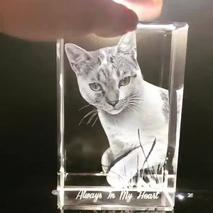 👉Use any photo👈 🎁The PERFECT Gift🎁 👍Limited-time up to 30% OFF👌 ⭐Free Shipping!⭐ We will remove background and transform your image in 3D. Only one side of a crystal follows you and the other side is not. Website: https://artpix3d.com ⭐Over 3500 5-star reviews on TrustPilot⭐ Link: https://artpix3d.com/reviews | ArtPix 3D