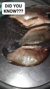 You can use a Potatoe peeler to these , what do you call them 🙈 Very much easier 😍 #cooking | Lowest Budget