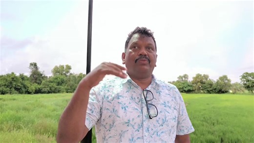 MLA Micheal Lobo on Stray Cattles | Quick goa news