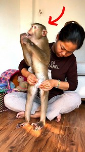 Super Smart Judee Obediently Stand To Let Mom Easily Put Napppy For Her | Nun's Life
