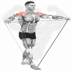 5.4K views · 865 reactions | Full shoulder workout | Muscle man | Facebook