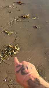 Extremely Satisfying Popping Gushing Sea Balls! #nature #asmr | Jacob Colvin