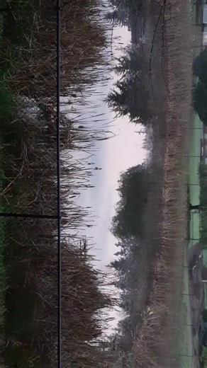 omg all i saw was the sun rise then i walked outside and there was a full ass moon 😭🌕