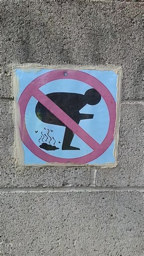 Signs are very interesting to say the least. Haha. #fyp #foryoupage #sign #funny #awesome