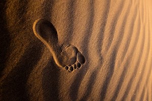 Footprint Strategies You Can Apply In Your Trading | Axia Futures