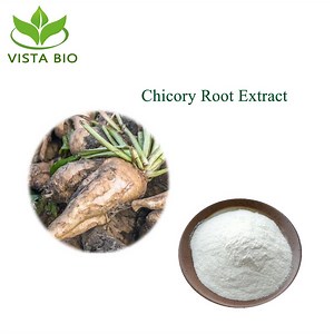 [Hot Item] 90% Inulin Powder Chicory Extract Chicory Root Extract