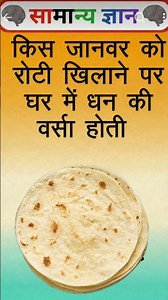 किस जानवर को रोटी खिलाने से घर में धन की वर्षा होती है? 😲 जानिए मान्यता! #roti #gkshorts​ #amazing​