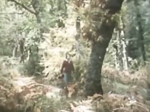 22K views · 925 reactions | El amor jose luis Perales | La Florida tv | Facebook