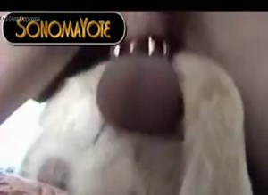 Anal Dog 2 1 GayBeast Rip - Animal Boy