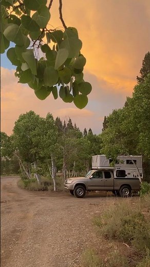 Spend a Day with me in Mono Village, CA.
