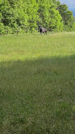 Wie im Film.... Unser