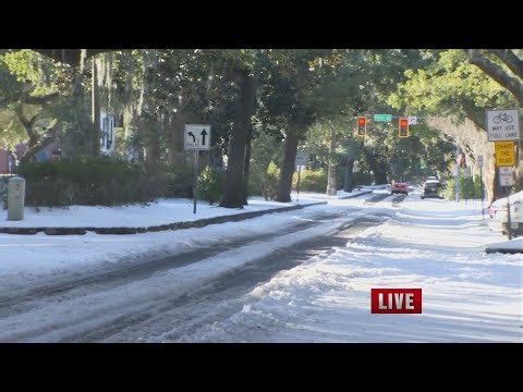 Snow in Savannah