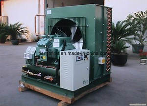 [Hot Item] Fst Energy Efficient Freezer Condensing Unit with Brands Valves