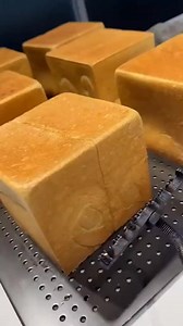 395K views · 1.5K reactions | Sa palagay mo, anong advantage kaya ng pagiging “see-through” ng mga hayop tulad nito sa kalikasan? #randomfacts #shorts | Factopsy | Facebook