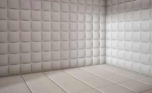 Padded cell - Alchetron, The Free Social Encyclopedia