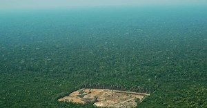 Contre la "déforestation importée", une stratégie française, avant tout incitative
