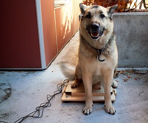 Build an IoT Industrial Scale!