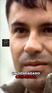 🔴“EL CHÁPO: La verdadera historia del Cártel de Sinaloa y su imperio” expone cómo se construyó uno de los poderes criminales más grandes del mundo. Alianzas, traiciones y una red que lo controló todo durante años. Nada fue casual. ¿Crees que este imperio pudo caer de otra forma? #HistoriaReal #CrimenOrganizado #CartelDeSinaloa #HistoriaOscura #Documental | Historia del Pasado