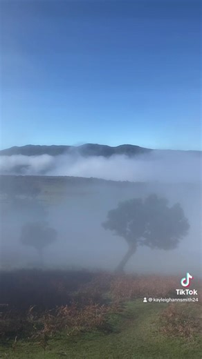 Kayleigh Smith on TikTok