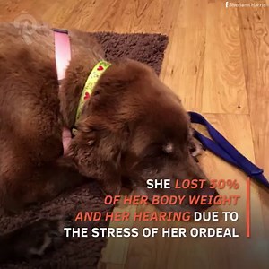 This story has a miraculous ending!