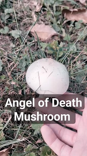 #outdoor #nature #hiking #adventure #photography #outdoors #travel #landscape #naturephotography #camping #mountains #trekking #naturelovers #wanderlust #photooftheday #explore #mountain #instagood #natur #outdoorlife #love #outdoorphotography #bushcraft #forest #picoftheday #landscapephotography #summer #wandern #survival #travelphotography | Outdoor Walker