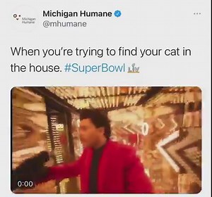 True story. | Michigan Humane