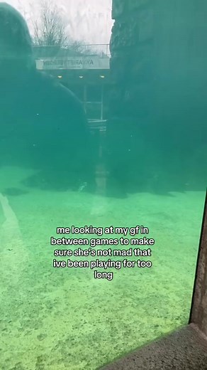 56K views · 538 reactions | “Heyyyy! Everything ok, babe?” | G FUEL | Facebook