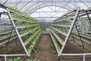 [Hot Item] Commercial Nft Channel Vertical Hydroponic Growing System for Greenhouse Lettuce Kale Producing