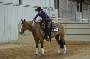 16K views · 501 reactions | We love our non-pro's! McQuay Stables is now accepting new non-pro clients and horses. Contact us today for more information on joining our team! 940-437-2470 mcquaystables@gmail.com | McQuay Stables | Facebook