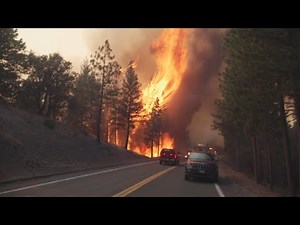 Park Fire surpasses 230K acres, prompts evacuations in Shasta, Butte, Tehama counties