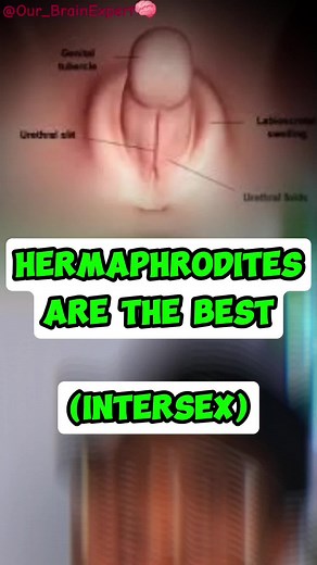 Understanding Intersexuality: Explained