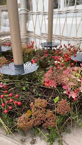 38K views · 2.5K reactions | Mein erster und außergewöhnlichster...