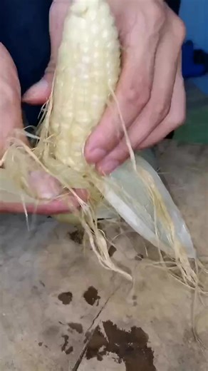 Quickly cutting corn #corn #skills #technique #foryou | Fruit Cut & Vegetables Art