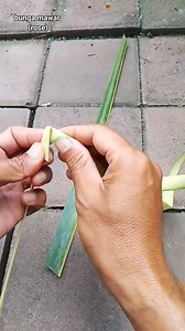 3.7K views · 101 reactions | Tutorial bunga mawar(rose) dari daun kelapa. Semoga bermanfaat  #kreasijanur #anyamandaunkelapa #tutorial #bungamawar #rose #weaving #idekreatif #kerajinantangan #coconutleafcraft #daunkelapa #hiasanjanur Pengikut @sorotan Dewa Ayu Triana Dewi | Dwija PanJavas | Facebook