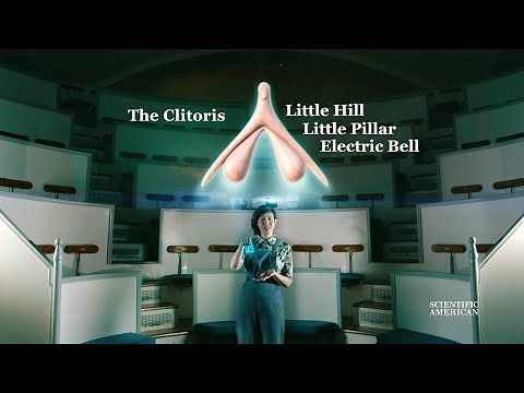 It took science 2,000 years to find the clitoris