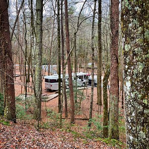 Unicoi State Park & Lodge Reviews updated 2026