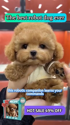 🐶 Want a puppy without the work? NICOO the Robot Puppy walks, wags, and loves attention— No walks or clean-ups needed! Cute, interactive, and totally hassle-free. Get Yours NOW 👉 https://betterlife-mf.com/products/�-nicoo-my-realistic-robot-puppy | BetterLife